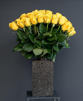 Роза Россия 51 шт - Желтый